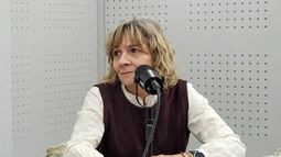 En contra. Palladino fue la única legisladora nacional catamarqueña que rechazó la reforma de la Ley de Glaciares.