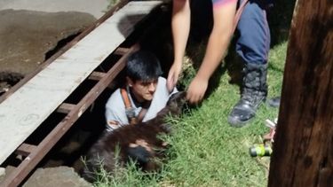 lograron rescatar a un perro que cayo a una fosa septica en santa rosa