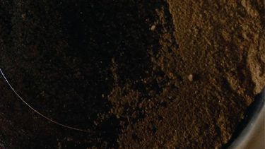 Presentan la novela Bajo el Bronce de Carlos Gallo