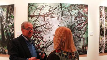 “Abstracciones contemporáneas” en el Museo de la Ciudad