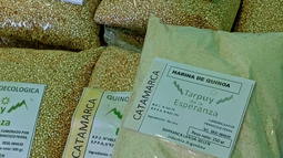 Culminó la segunda Feria de la Quinoa