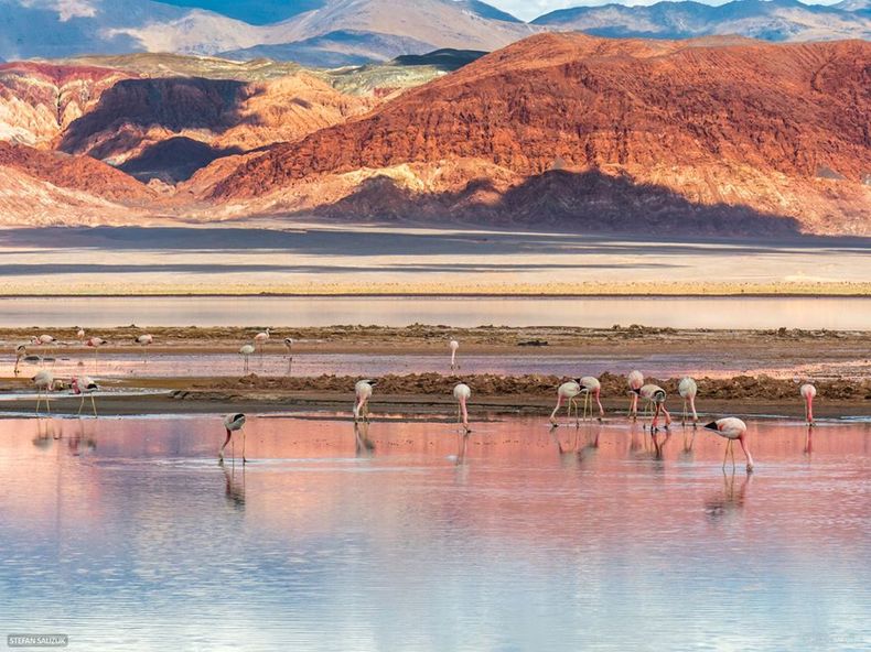 Los humedales andinos, entre ellos salares, lagos y lagunas, son ecosistemas muy frágiles por sus características, cuyo elemento central es el agua.