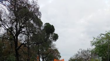 se multiplican las protestas de trabajadores de la salud  