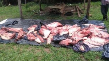 Policías roban ganado y lo faenan en la comisaría