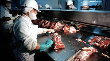 Carne en oferta. Piden más toneladas para los cortes económicos en todo el país.