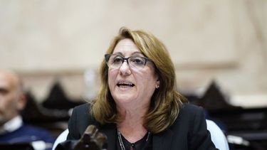 La diputada nacional de PS Mónica Fein.