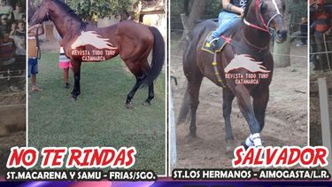 No te rindas y Salvador. Animadores del clásico