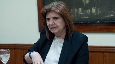 Bullrich anticipó que el gobierno presentará un proyecto para la internación compulsiva de adictos violentos