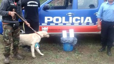 Costosas deficiencias