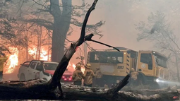 El incendio en el Parque Nacional Los Alerces consumió cerca de 6 mil hectáreas de bosque