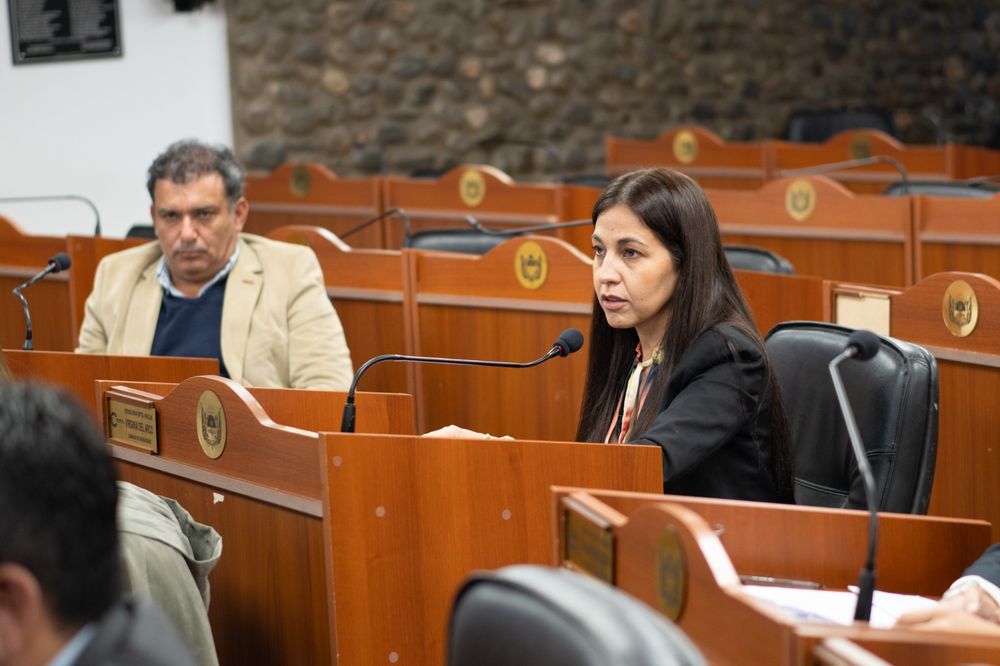 Virginia Del Arco