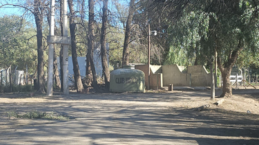 robaron caballos del club hipico y los dejaron atados en el barrio portal norte