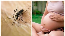 Una joven murió por dengue hemorrágico luego de dar a luz