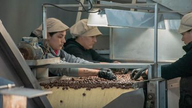 Subsidio energético a grandes usuarios agroproductivos