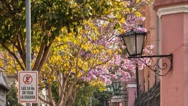 que dice el pronostico del tiempo para los primeros dias de otono 2025