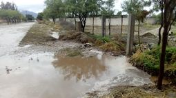 Pequeños productores de Andalgalá se vieron afectados por la lluvia