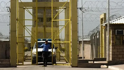 Predominan los delitos sexuales en la población carcelaria Predominan los delitos sexuales en la población carcelaria