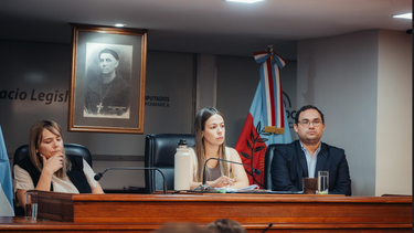josefina herr destaco la responsabilidad del oficialismo en una sesion clave de la camara de diputados