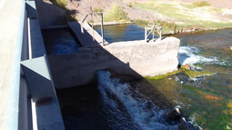 El río Las Lozas comenzó a aportar caudal al Guanchín y fortalecerá el sistema de riego en Fiambalá El río Las Lozas comenzó a aportar caudal al Guanchín y fortalecerá el sistema de riego en Fiambalá