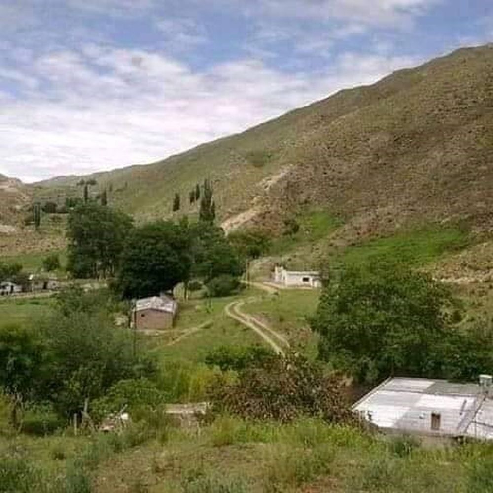 Investigación. Medio ambiente hará un relevamiento.