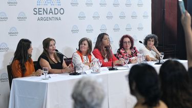 Belky Pennise disertó en el Senado de la Nación.