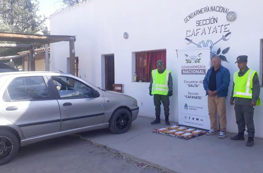 Gendarmería Nacional secuestró ocho kilos de cocaína en Salta