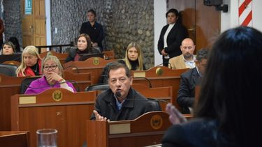 El estado de la salud pública desató la polémica en la Cámara de Diputados