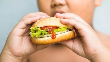 Brindan tratamiento a personas que tengan obesidad