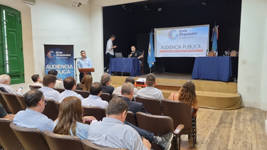 audiencia por el vad: ec sapem justifico el pedido de aumento en las tarifas