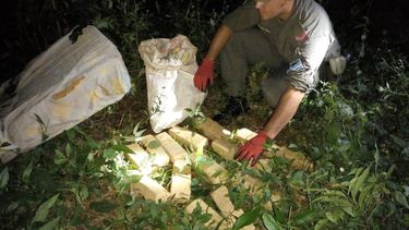 Secuestraron 362 kilos de cocaína y cuatro avionetas en Salta