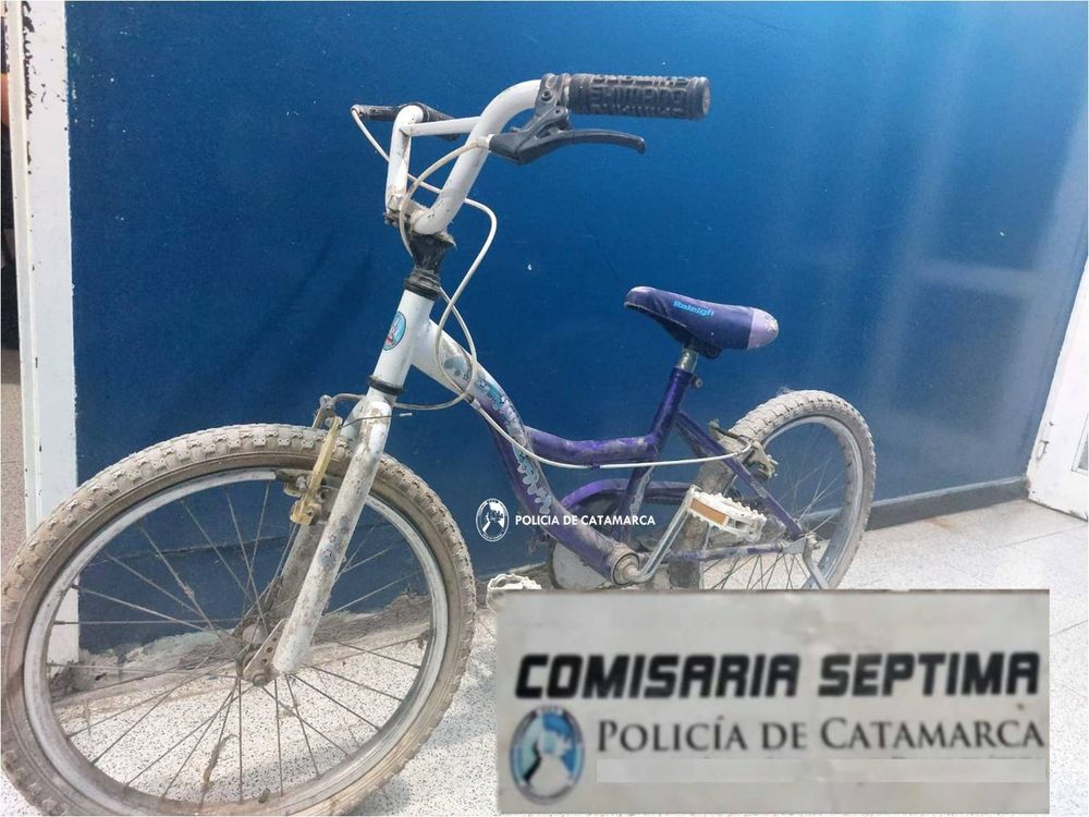 Rodado 20. El sospechoso habría llevado la bicicleta de una casa.&nbsp;