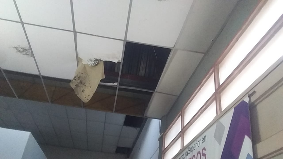 Piden el traslado urgente del Instituto Néstor Kirchner al nuevo edificio