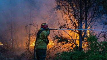 acusan al gobierno de usar el racismo para tapar su inaccion en incendios en la patagonia