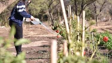 Mujer Rural. El programa involucra a decenas de mujeres de Valle Viejo.&nbsp;
