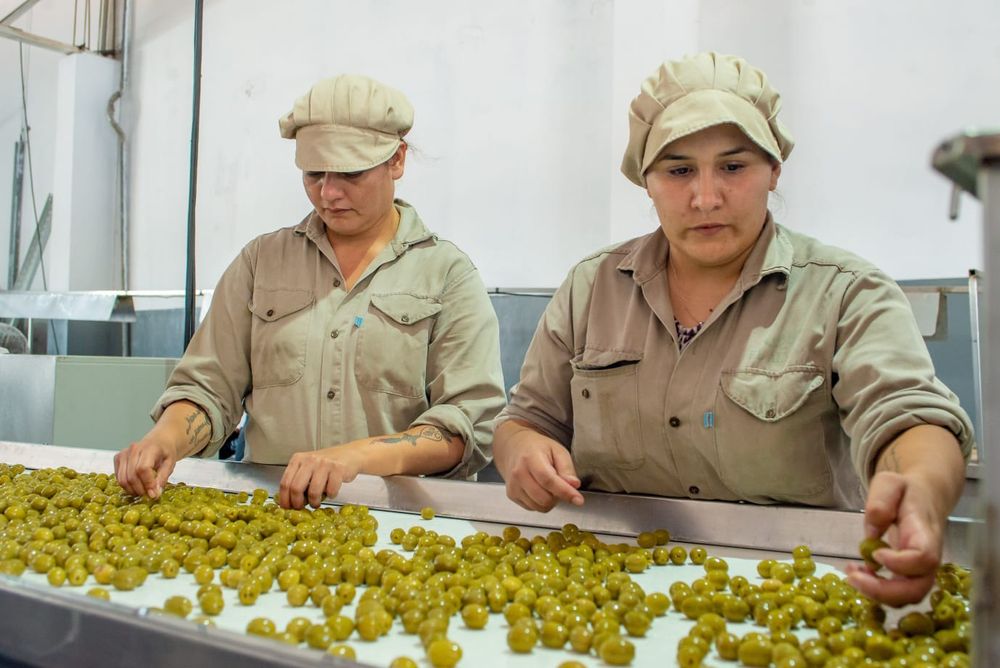 Empresa amplía su producción y genera más trabajo 2.jpg