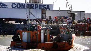 investigan a la pesquera conarpesa por operar con la red del croata