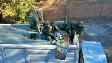 creo compartimientos en el techo y acoplado de un camion para ocultar 350 kilos de hojas de coca