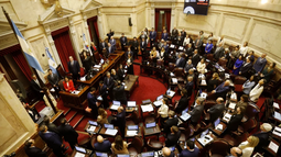 La Libertad Avanza impuso su mayoría y dejó al kirchnerismo sin autoridades en el Senado La Libertad Avanza impuso su mayoría y dejó al kirchnerismo sin autoridades en el Senado