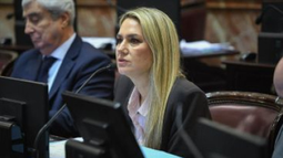 Diputadas radicales rechazaron el proyecto de Losada sobre falsas denuncias en casos de violencia de género Diputadas radicales rechazaron el proyecto de Losada sobre falsas denuncias en casos de violencia de género