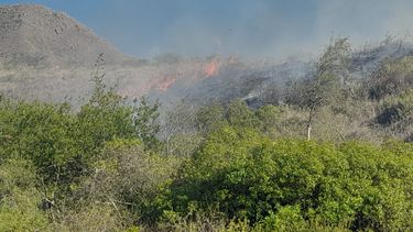 Incendio en inmediaciones de la ruta provincial 4.&nbsp;