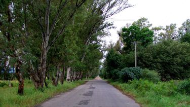 Mujer sacó a tiros a ladrones que trataron de asaltar a su familia