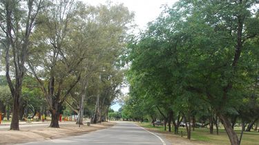 Investigan abuso a una adolescente de 14 años y a otra de 19 en Parque Adán Quiroga