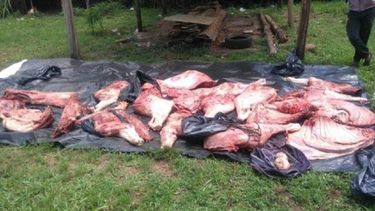 Denuncian que policías robaron ganado y lo faenaron en la comisaría