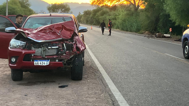 grave accidente en tinogasta por animales sueltos en la ruta