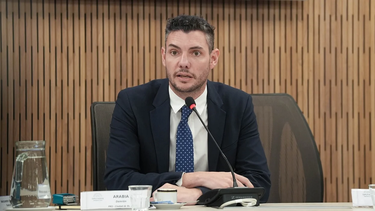 Damián Arabia, diputado del PRO.