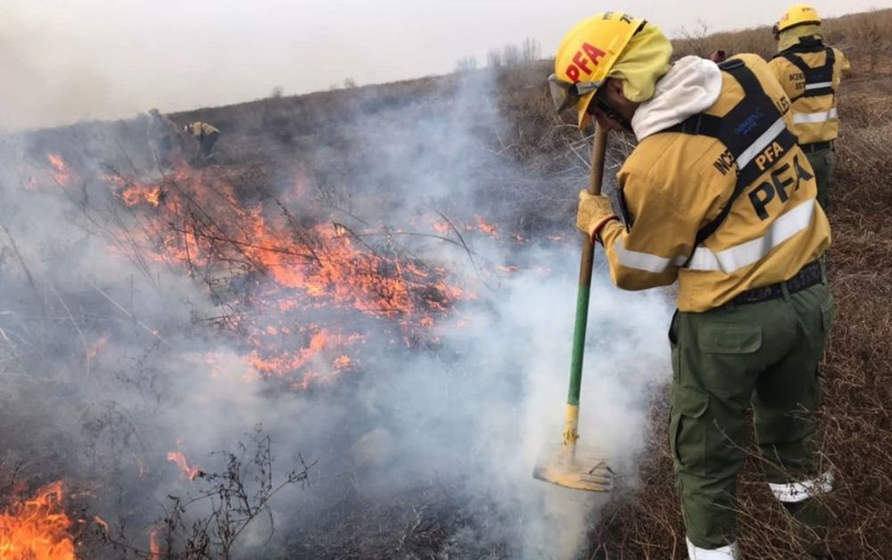 Ya se quemaron casi 100 mil hectáreas en el Delta del Paraná