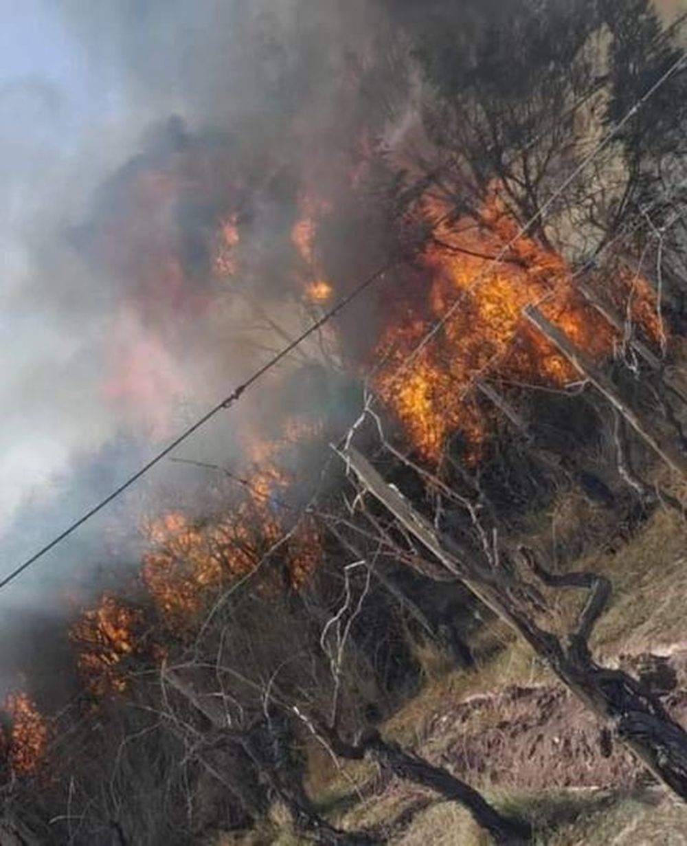 Incendios en Tinogasta