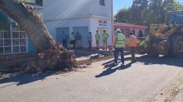Reclamos y reparaciones tardías tras el temporal