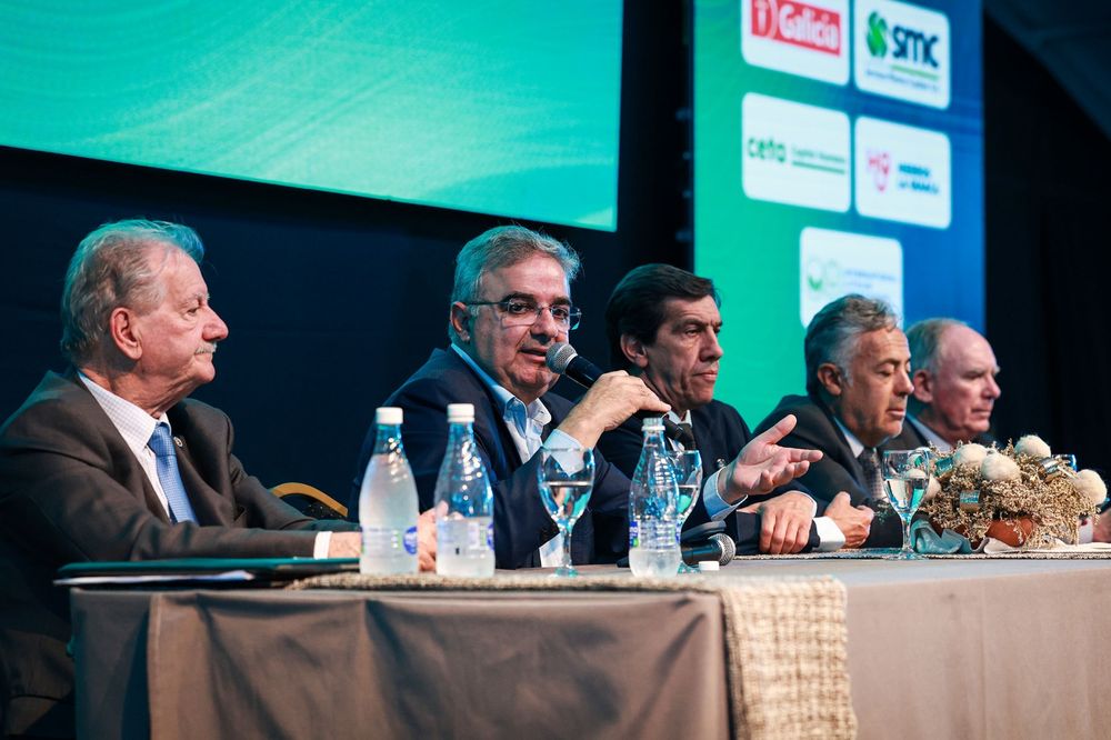 Participación. El gobernador Raúl Jalil, junto a sus pares de Jujuy y Mendoza, en uno de los paneles.