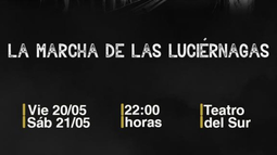 Se presenta la Marcha de las Luciérnagas